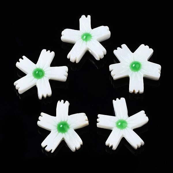 Natural Freshwater Shell Beads