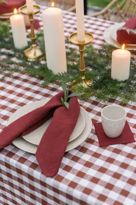 Linen napkins set of 2 in Terracotta | Size: 48x48 cm / 19x19”