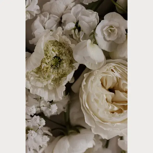 Love Letter - 4 | Size: 32