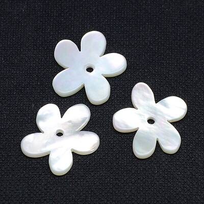Natural White Shell Beads