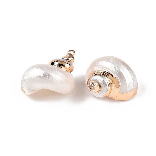 Natural Sea Shell Pendants