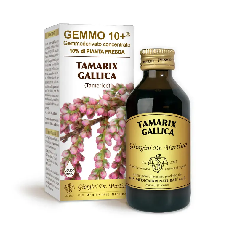 Dr Giorgini gemmo 10+ tamarisk 100 ml non-alcoholic liquid