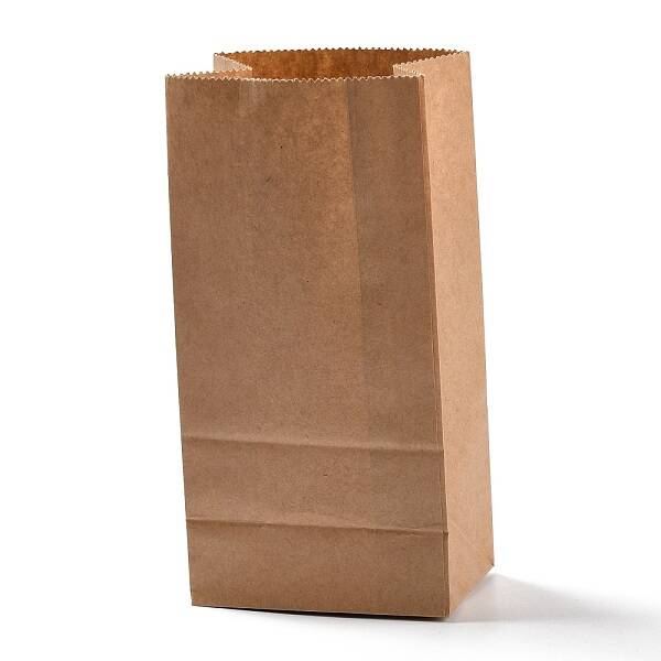 Rectangle Kraft Paper Bags