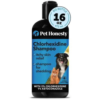Pet Honesty Chlorhexidine Cat & Dog Shampoo, for Allergies, Itching, Dog Skin and Coat Supplement, Deodorizing Dog Shampoo - ...