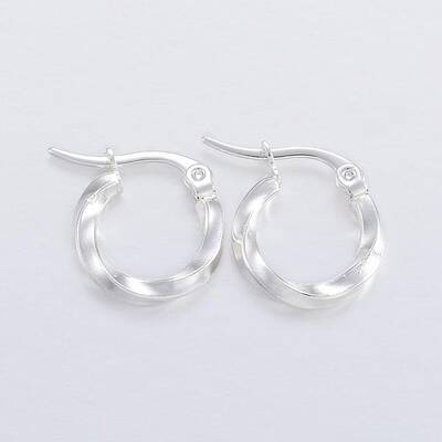 304 Stainless Steel Hoop Earrings