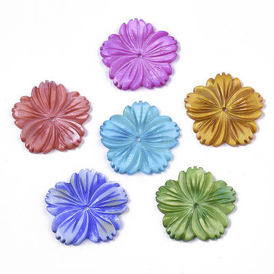 Natural Freshwater Shell Beads