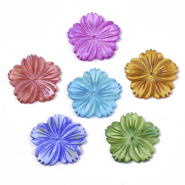 Natural Freshwater Shell Beads