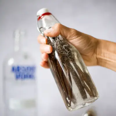 DIY Vanilla Extract Kit - Certified Organic & Fair Trade - Gneiss Spice