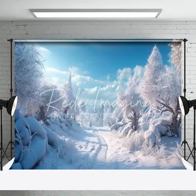 Snowy Landscape Winter Christmas Portrait Backdrop - Aperturee