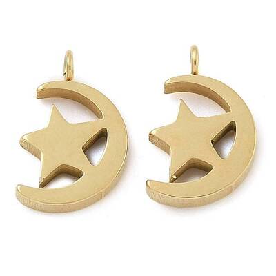 Ion Plating(IP) 304 Stainless Steel Charms