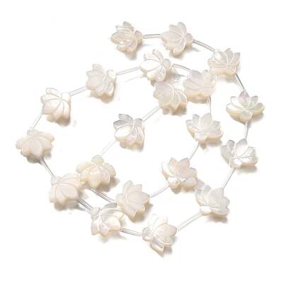 Natural White Shell Beads