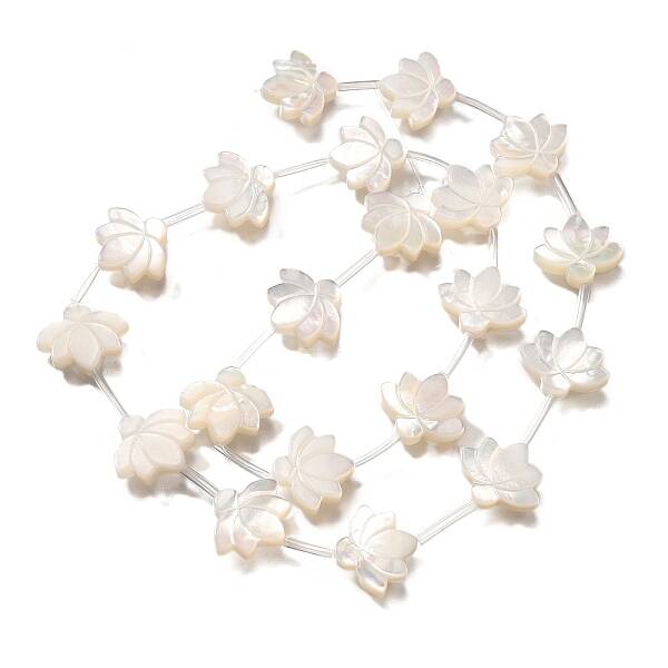 Natural White Shell Beads