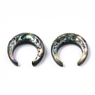 Natural Abalone Shell/Paua Shell Beads
