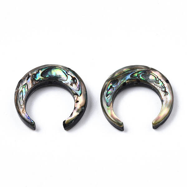 Natural Abalone Shell/Paua Shell Beads