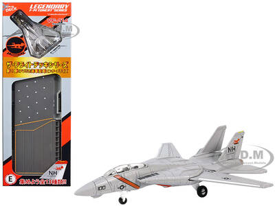 Grumman F-14 Tomcat Fighter Aircraft \
