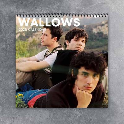 Wallows Wall Calendar 2025 | Celeb 2025 Calendar | Pleaser Hit | Pop Rock Music Brand
