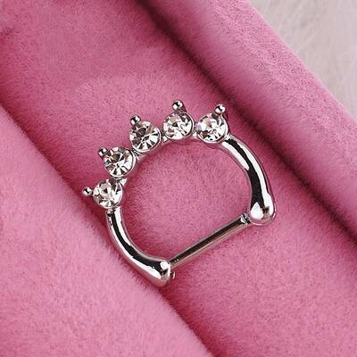 316L Stainless Steel Micro Pave Cubic Zirconia Hoop Nose Rings