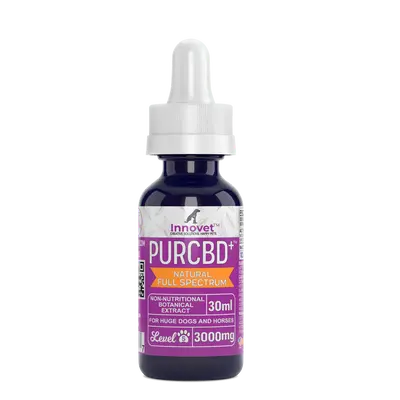 CBD Oil for Horses