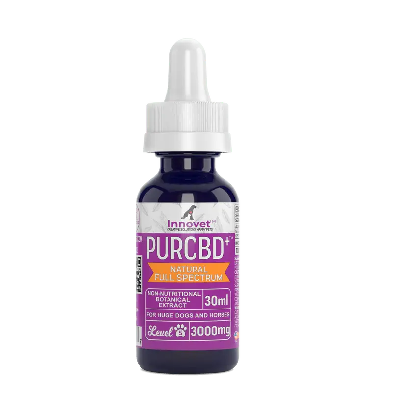 CBD Oil for Horses