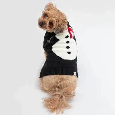 Cozy Christmas Pet Sweater - Gingerbread - L