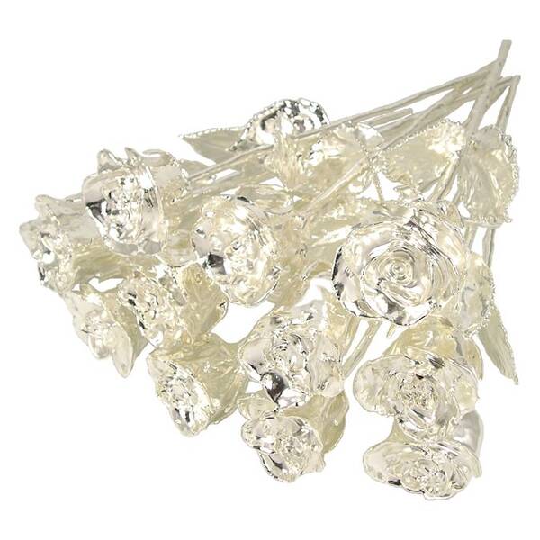 Silver Dipped Roses: 1 Dozen 14 Rose Bouquet