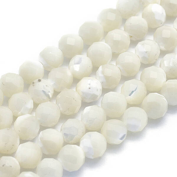 Natural White Shell Beads