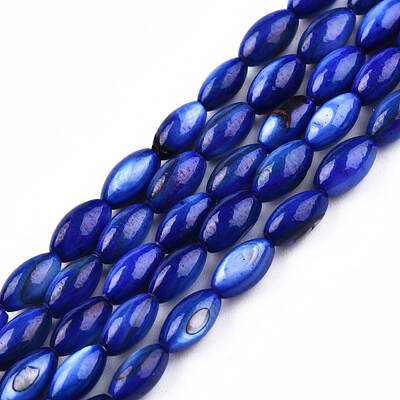 Natural Freshwater Shell Beads Strands