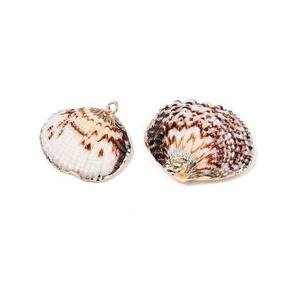 Natural Sea Shell Pendants