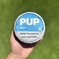 ThePupperDecky Parody Dog Toy (Squeaker Inside)