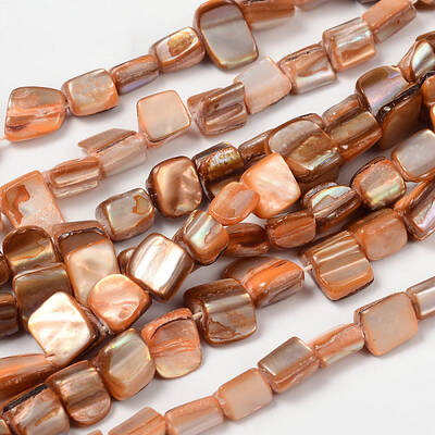 Erose Natural Shell Beads Strands