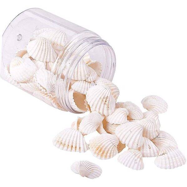Shell Beads