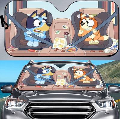 Blueydad Car Sun Shade