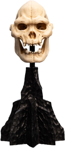 WETA Workshop Polystone - The Lord of the Rings Trilogy - Skull of Lurtz Polystone Statue