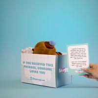 Coco The Capybara - Snuggl Plushy Gift - Adorable Personalized Gift with Heartfelt Message Inside - Perfect for Couples, Frie...