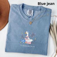 Comfort Colors Vintage Funny Firequacker Goose T-shirt, July 4th T-shirt, Independence Day Tee, Usa  T-shirt, Patriotic Tee, ...