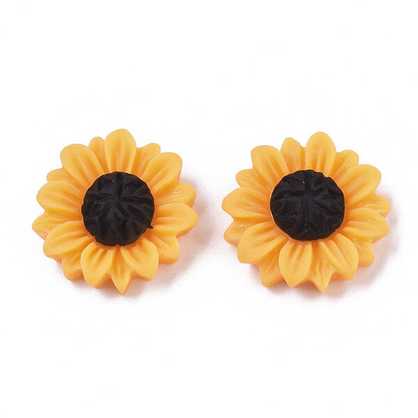 Resin Cabochons