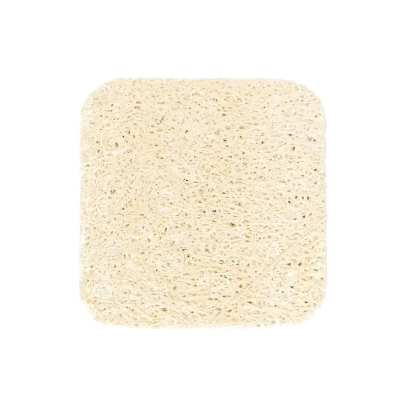 Puremetics Loofah Soap Dish
