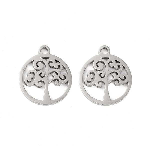 Non-Tarnish 316 Surgical Stainless Steel Charms
