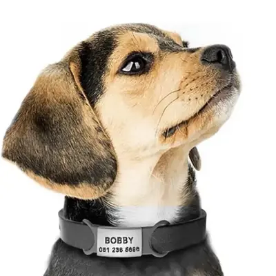 Slide on Personalized Pet Tags- Laser Engraved- Stainless Steel- Slide on Horizontal - Silent- We Engrave Any Pet Info! petta...