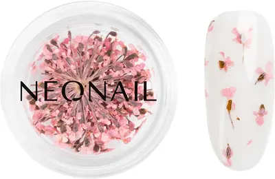NEONAIL Dried Flowers dried flower for nails pink color