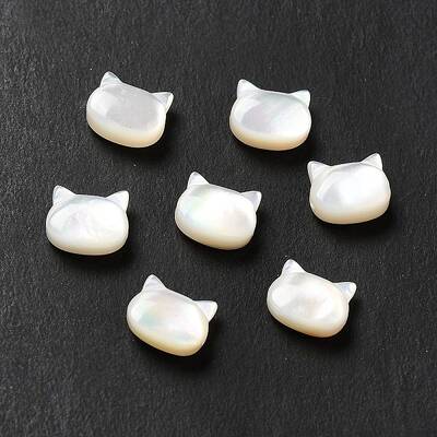 Natural White Shell Beads