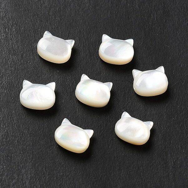 Natural White Shell Beads