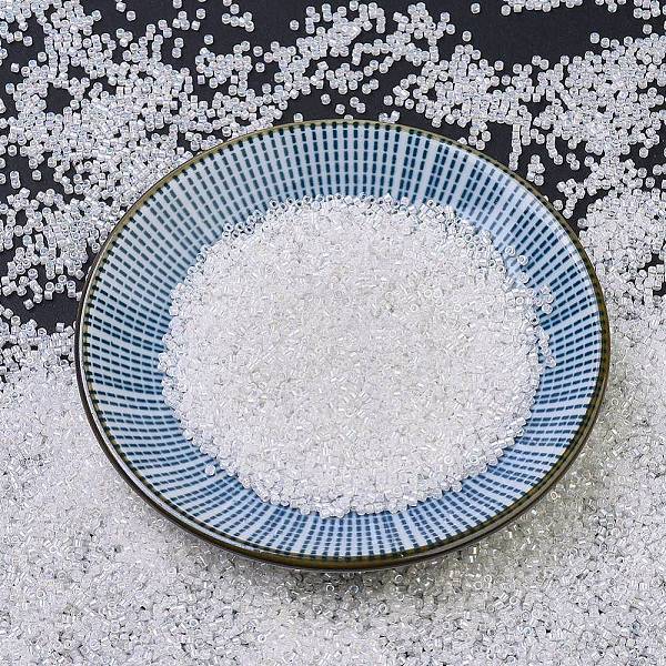 MIYUKI Delica Beads