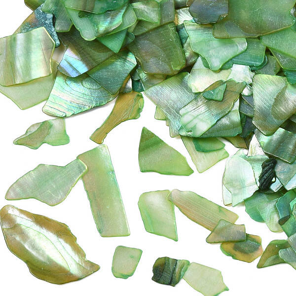 Natural Abalone/Paua Shell Mica Fragment