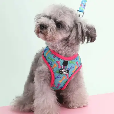 Creative Pattern Design Dog Harness & Leash Set, 2 Counts/set Dog Harness & Adjustable Dog Leash, Pet Walking Supplies