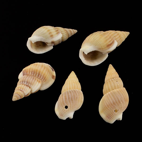 Spiral Shell Pendants