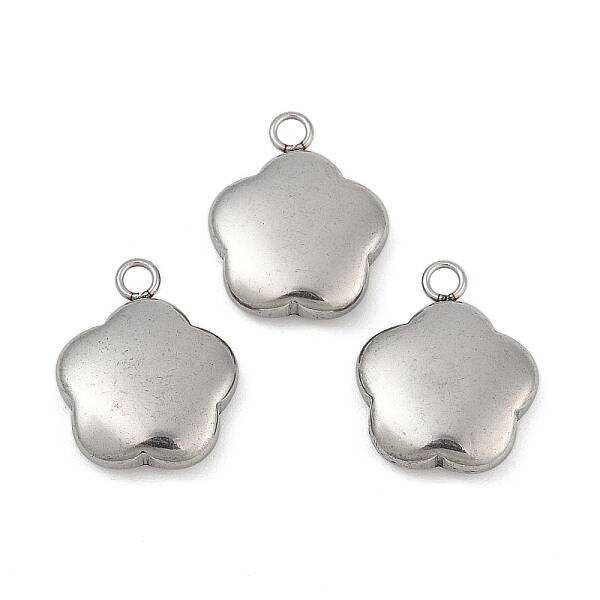 Tarnish Resistant 304 Stainless Steel Charms