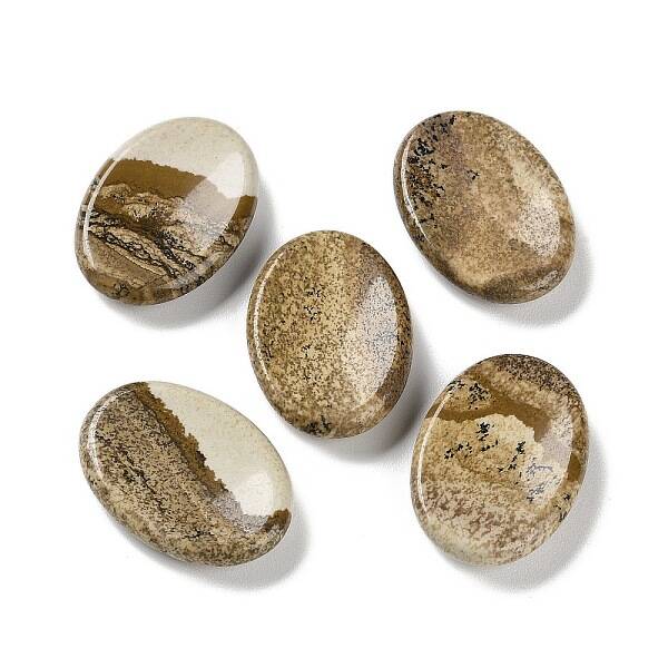 Oval Natural Picture Jasper Worry Stone