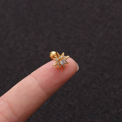 316L Surgical Stainless Steel Micro Pave Clear Cubic Zirconia Star Cartilage Earrings