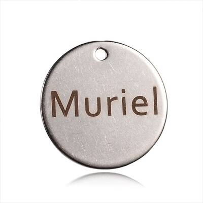Non-Tarnish Spray Painted 201 Stainless Steel Pendants
